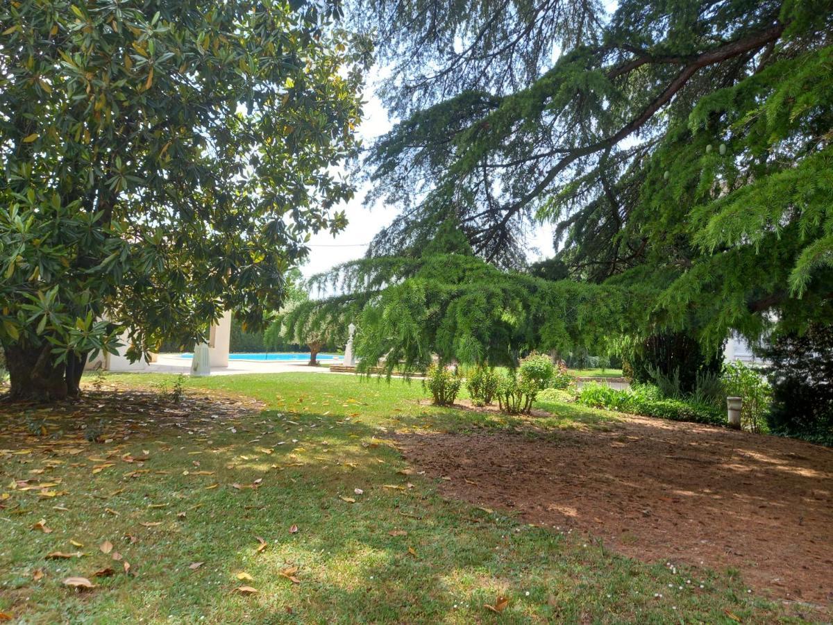 La Maison Basque Sainte-Livrade-sur-Lot Eksteriør billede