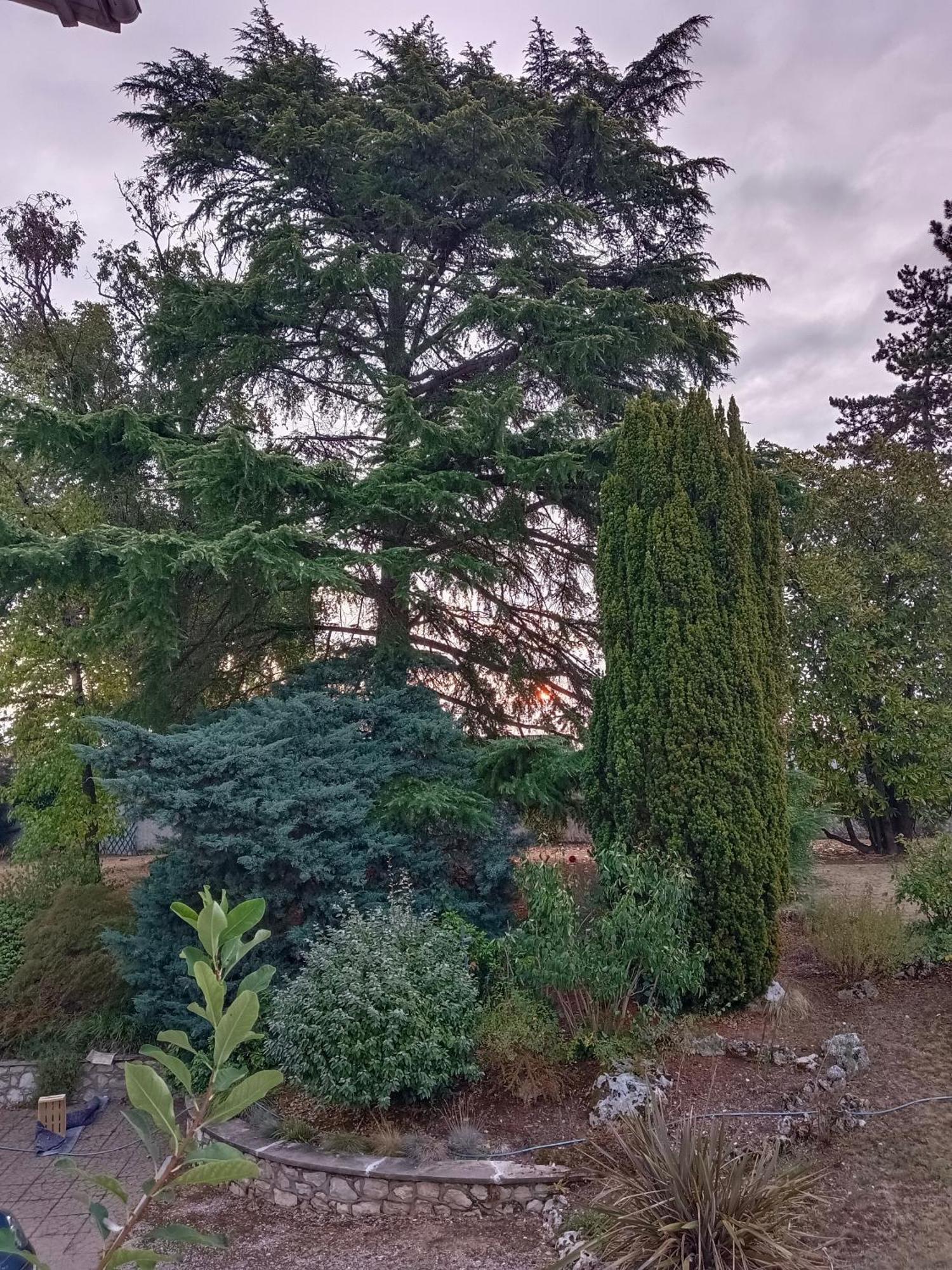 La Maison Basque Sainte-Livrade-sur-Lot Eksteriør billede